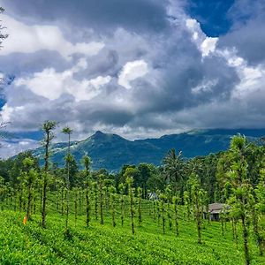 Ende Wayanad Resort